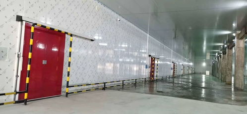 專業(yè)保鮮，智造未來(lái)——佛山食品保鮮冷庫(kù)工程廠家，為食品廠與農(nóng)產(chǎn)品提供全方位儲(chǔ)存方案