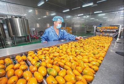 育好物、出爆款、強(qiáng)品牌 打造現(xiàn)代農(nóng)業(yè)價(jià)值鏈的三部曲