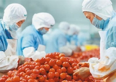 穩(wěn)居第一，小小罐頭闖世界 中國農(nóng)產(chǎn)品的全球化之路